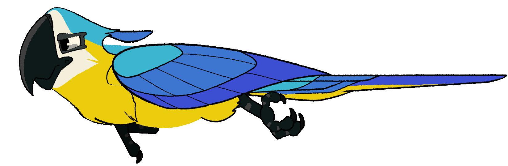 Bird Run Animation Bird Run Animation